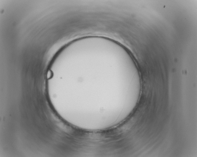 X0000089421511200707061306