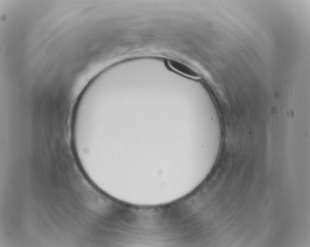 X0000089421512200707061306