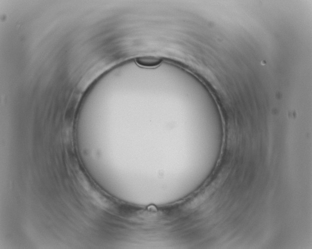 X0000089421513200707061306