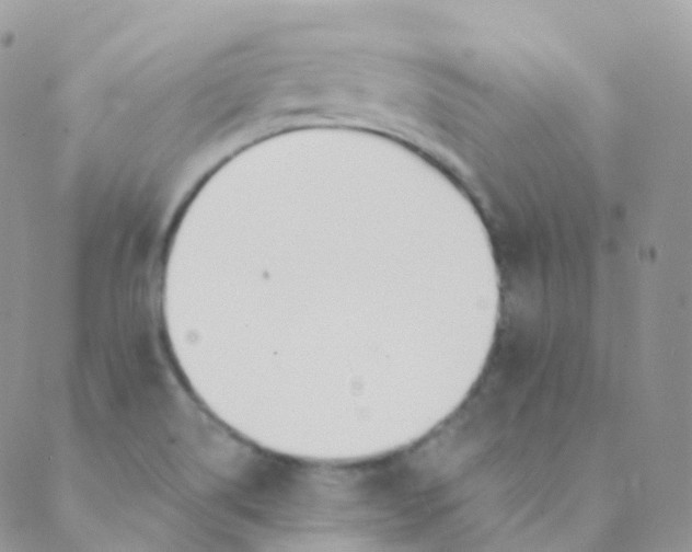 X0000089421514200707061306