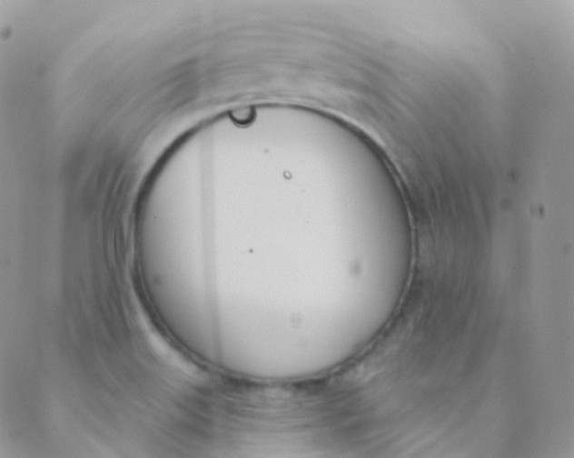 X0000089421515200707061306