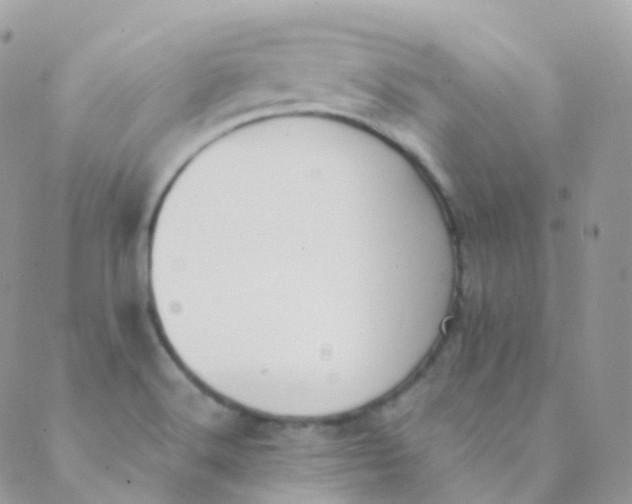 X0000089421516200707061306