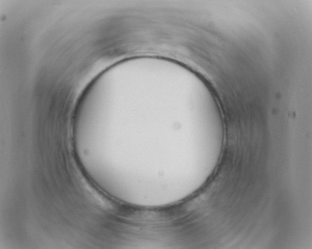 X0000089421517200707061306