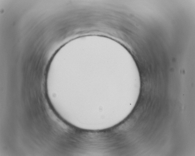 X0000089421518200707061306