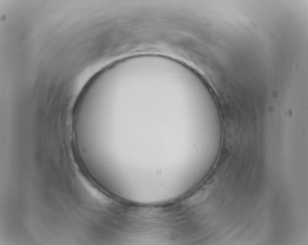 X0000089421519200707061306