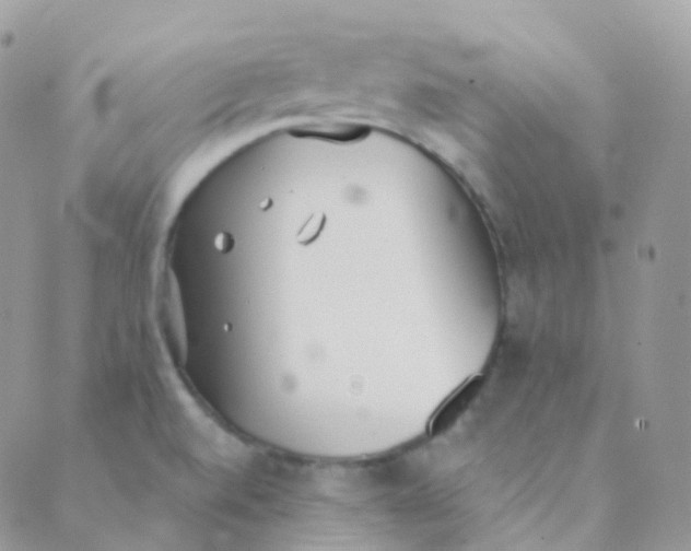 X0000089421520200707061306