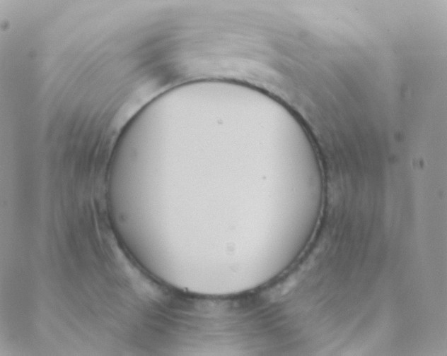 X0000089421521200707061306