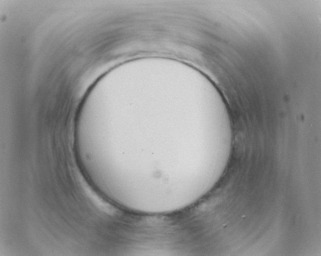 X0000089421523200707061306