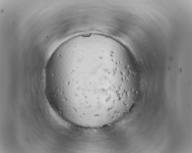 X0000089421524200707061306