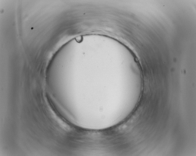 X0000089421525200707061306