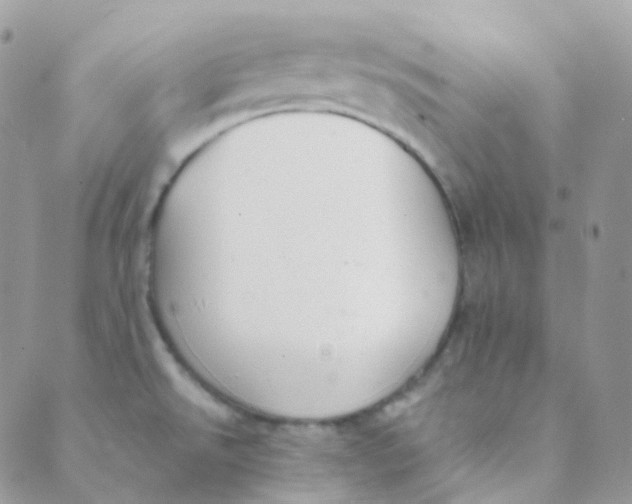 X0000089421526200707061306