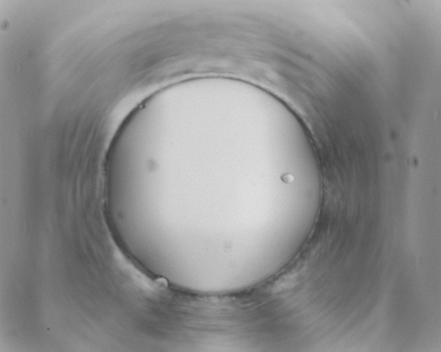 X0000089421527200707061306