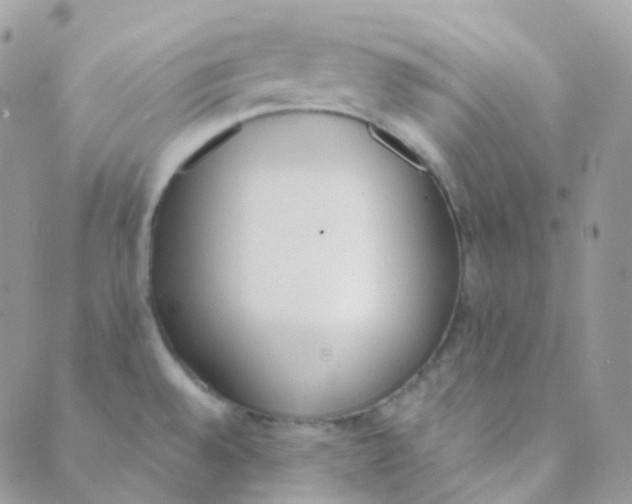 X0000089421528200707061306