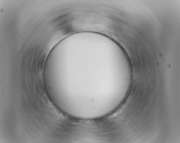 X0000089421529200707061306