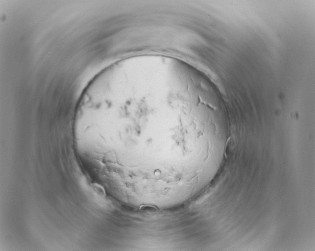 X0000089421530200707061306