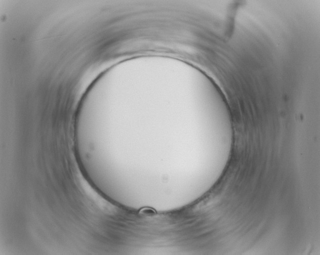 X0000089421531200707061306