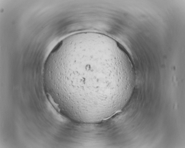 X0000089421532200707061306