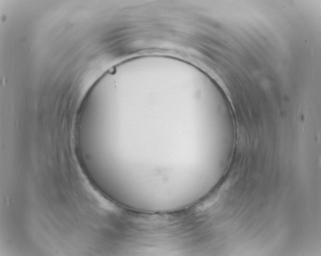 X0000089421533200707061306