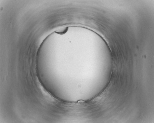 X0000089421534200707061306