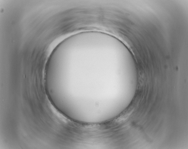 X0000089421535200707061306