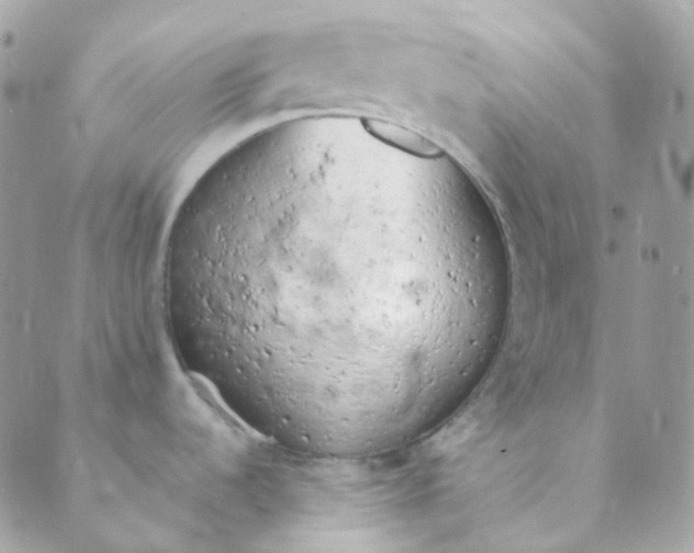 X0000089421536200707061306