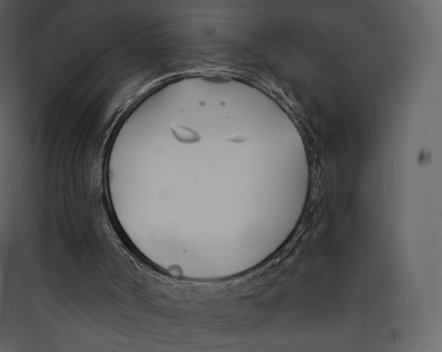 X0000089420002200707131832