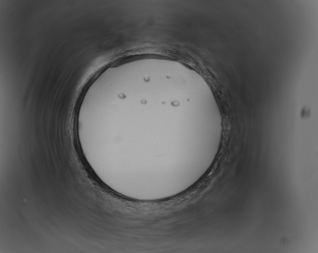 X0000089420006200707131832
