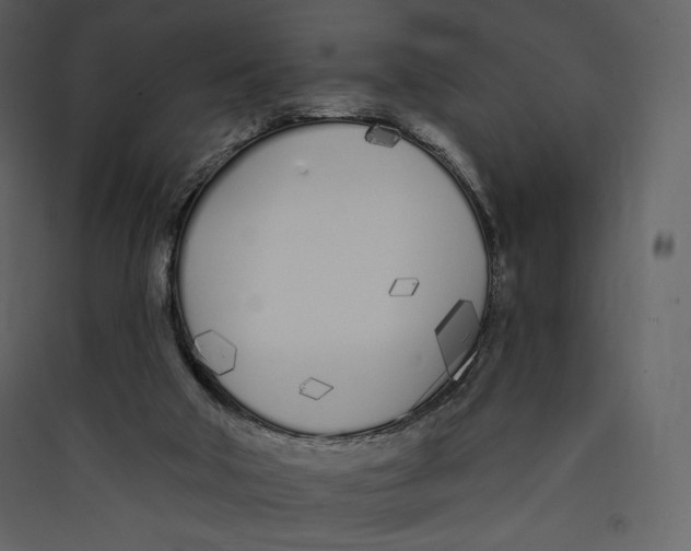 X0000089420018200707131832