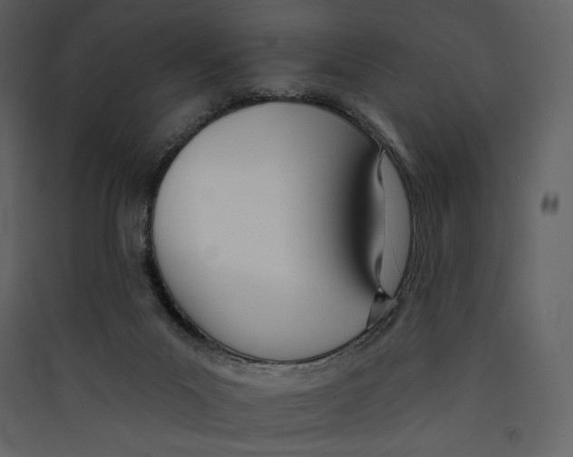 X0000089420023200707131831