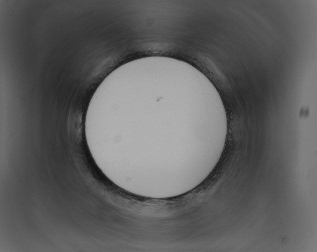 X0000089420024200707131831