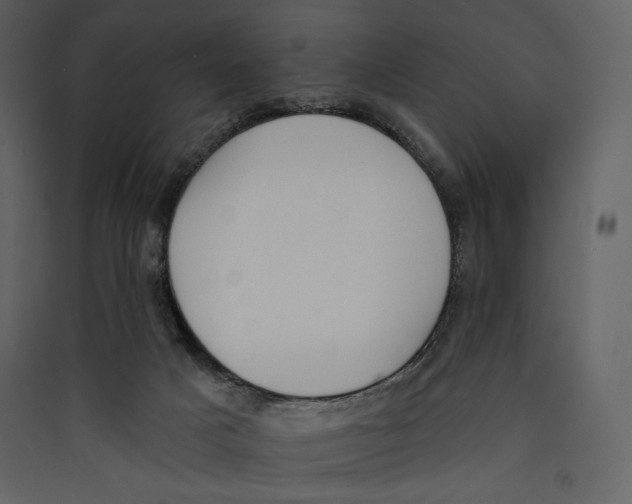 X0000089420025200707131831
