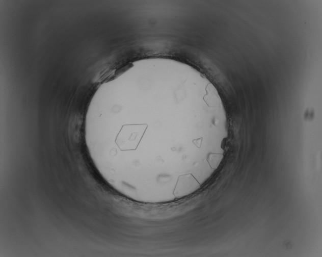 X0000089420026200707131831