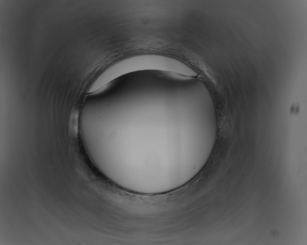 X0000089420027200707131831