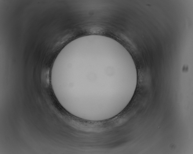 X0000089420028200707131831