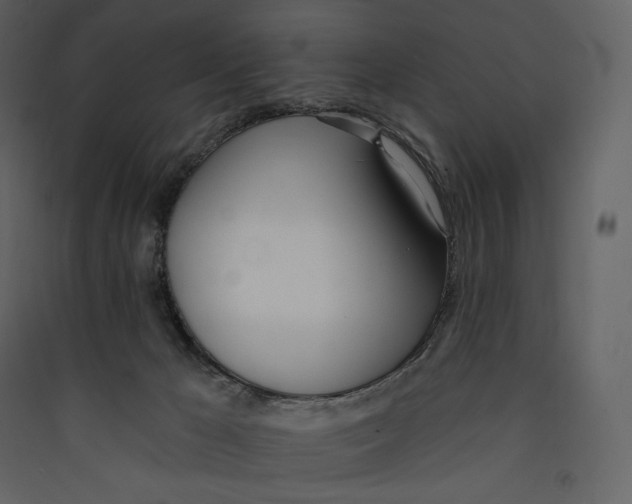 X0000089420029200707131831