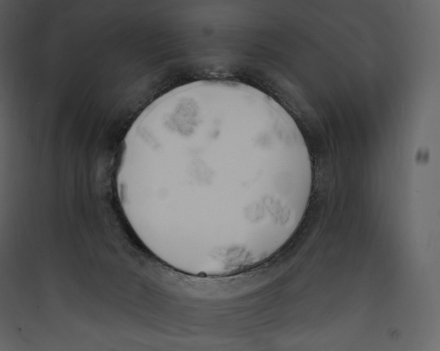 X0000089420030200707131831