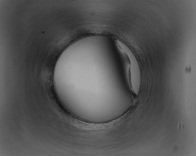 X0000089420031200707131831