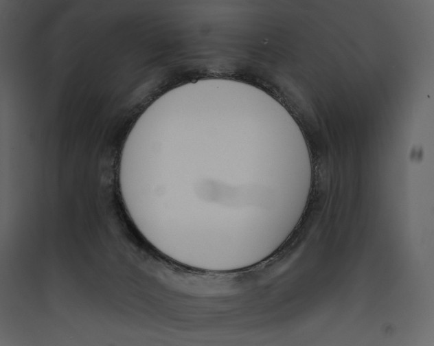 X0000089420032200707131831