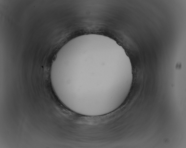 X0000089420033200707131831