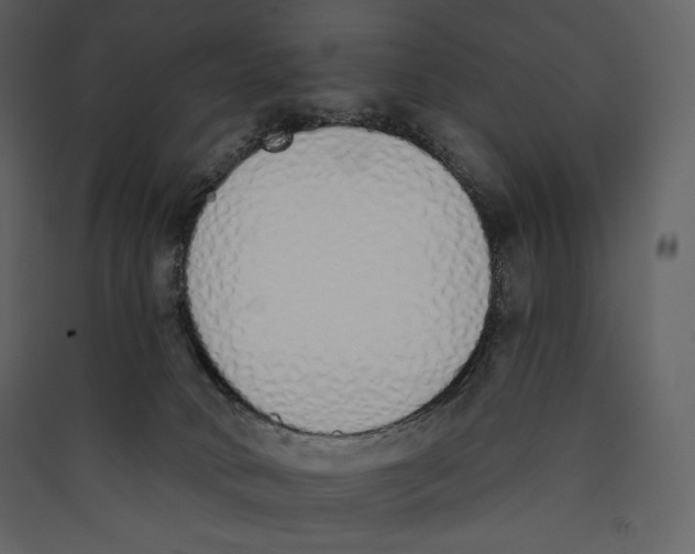 X0000089420034200707131831