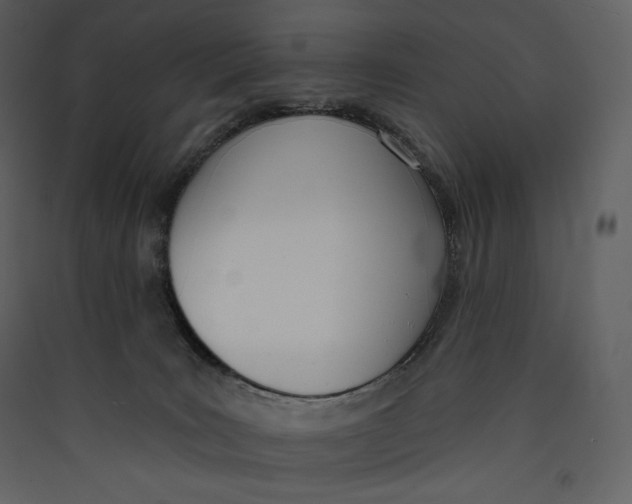 X0000089420035200707131831