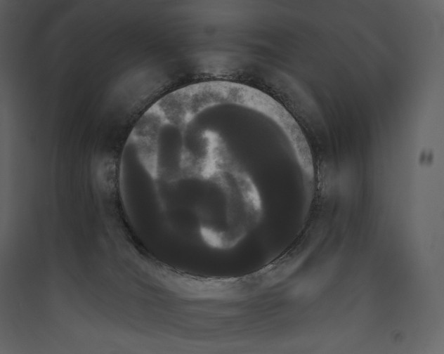 X0000089420036200707131831