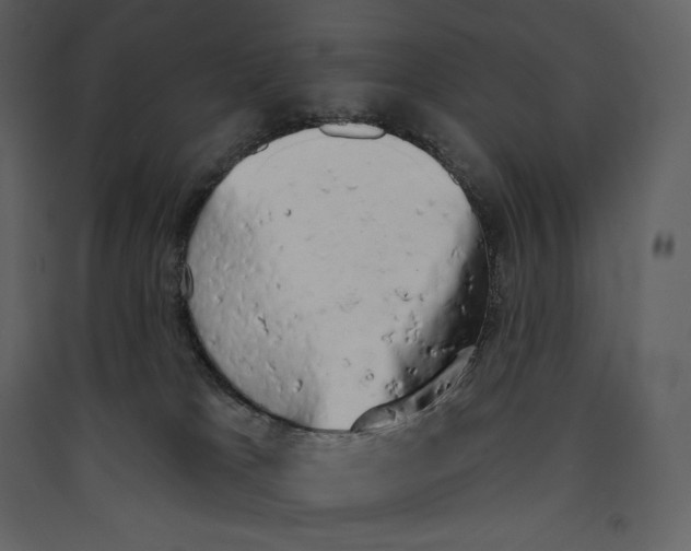 X0000089420037200707131831