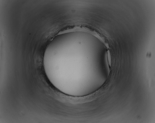 X0000089420039200707131831