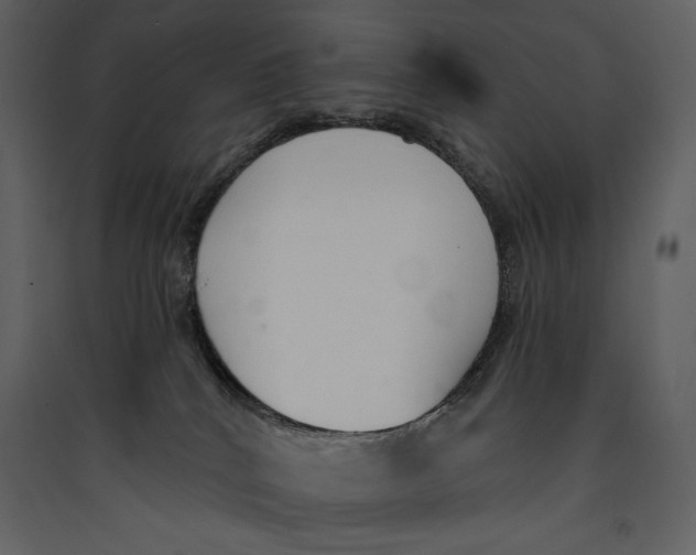 X0000089420040200707131831