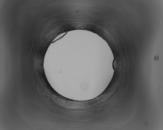 X0000089420044200707131831