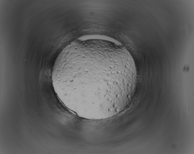 X0000089420045200707131831