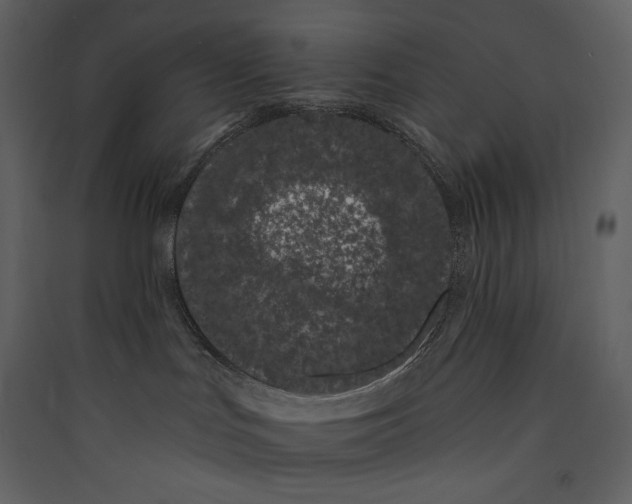 X0000089420047200707131831