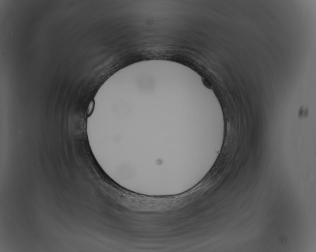 X0000089420048200707131831