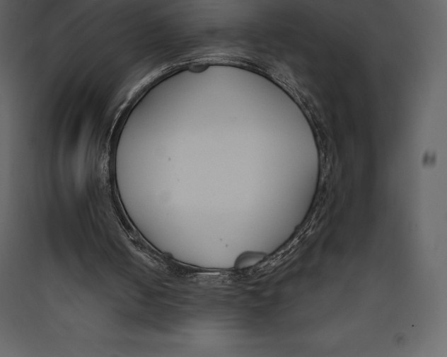 X0000089420050200707131830